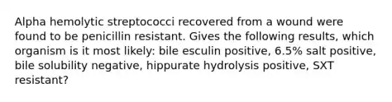 Alpha hemolytic streptococci recovered from a wound were found to be penicillin resistant. Gives the following results, which organism is it most likely: bile esculin positive, 6.5% salt positive, bile solubility negative, hippurate hydrolysis positive, SXT resistant?