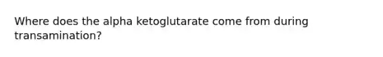 Where does the alpha ketoglutarate come from during transamination?