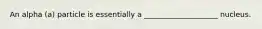 An alpha (a) particle is essentially a ____________________ nucleus.