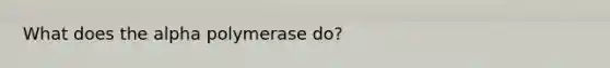 What does the alpha polymerase do?