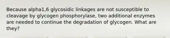 Because alpha1,6 glycosidic linkages are not susceptible to cleavage by glycogen phosphorylase, two additional enzymes are needed to continue the degradation of glycogen. What are they?