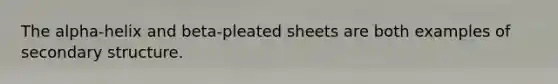 The alpha-helix and beta-pleated sheets are both examples of secondary structure.