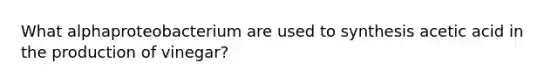 What alphaproteobacterium are used to synthesis acetic acid in the production of vinegar?