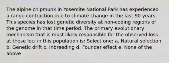 The alpine chipmunk in Yosemite National Park has experienced a range contraction due to climate change in the last 90 years. This species has lost genetic diversity at non-coding regions of the genome in that time period. The primary evolutionary mechanism that is most likely responsible for the observed loss at these loci in this population is: Select one: a. Natural selection b. Genetic drift c. Inbreeding d. Founder effect e. None of the above