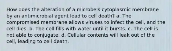 How does the alteration of a microbe's cytoplasmic membrane by an antimicrobial agent lead to cell death? a. The compromised membrane allows viruses to infect the cell, and the cell dies. b. The cell fills with water until it bursts. c. The cell is not able to conjugate. d. Cellular contents will leak out of the cell, leading to cell death.