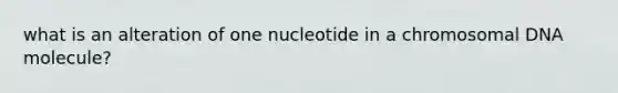 what is an alteration of one nucleotide in a chromosomal DNA molecule?