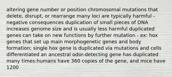 altering gene number or position chromosomal mutations that delete, disrupt, or rearrange many loci are typically harmful - negative consequences duplication of small pieces of DNA increases genome size and is usually less harmful duplicated genes can take on new functions by further mutation - ex: hox genes that set up main morphogenetic genes and body formation; single hox gene is duplicated via mutations and cells differentiated an ancestral odor-detecting gene has duplicated many times:humans have 360 copies of the gene, and mice have 1200