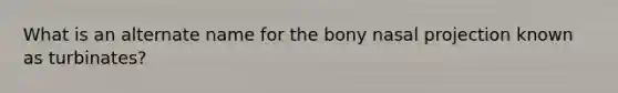 What is an alternate name for the bony nasal projection known as turbinates?