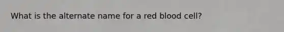 What is the alternate name for a red blood cell?