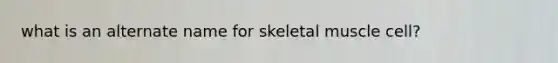 what is an alternate name for skeletal muscle cell?