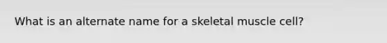 What is an alternate name for a skeletal muscle cell?