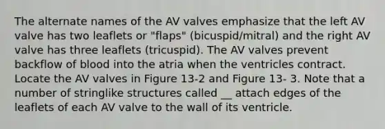 The alternate names of the AV valves emphasize that the left AV valve has two leaflets or "flaps" (bicuspid/mitral) and the right AV valve has three leaflets (tricuspid). The AV valves prevent backflow of blood into the atria when the ventricles contract. Locate the AV valves in Figure 13-2 and Figure 13- 3. Note that a number of stringlike structures called __ attach edges of the leaflets of each AV valve to the wall of its ventricle.