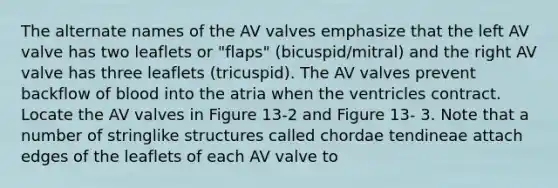 The alternate names of the AV valves emphasize that the left AV valve has two leaflets or "flaps" (bicuspid/mitral) and the right AV valve has three leaflets (tricuspid). The AV valves prevent backflow of blood into the atria when the ventricles contract. Locate the AV valves in Figure 13-2 and Figure 13- 3. Note that a number of stringlike structures called chordae tendineae attach edges of the leaflets of each AV valve to