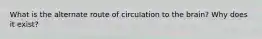 What is the alternate route of circulation to the brain? Why does it exist?