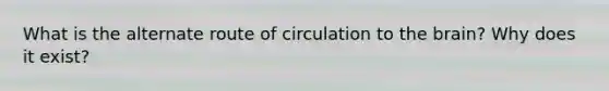 What is the alternate route of circulation to the brain? Why does it exist?