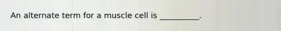 An alternate term for a muscle cell is __________.