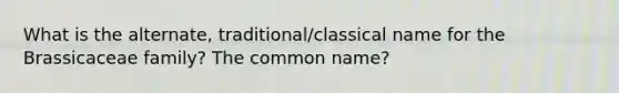 What is the alternate, traditional/classical name for the Brassicaceae family? The common name?