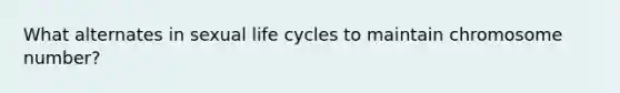 What alternates in sexual life cycles to maintain chromosome number?