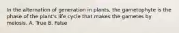 In the alternation of generation in plants, the gametophyte is the phase of the plant's life cycle that makes the gametes by meiosis. A. True B. False