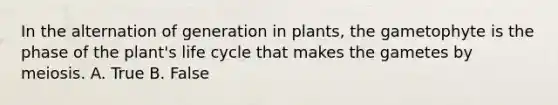 In the alternation of generation in plants, the gametophyte is the phase of the plant's life cycle that makes the gametes by meiosis. A. True B. False