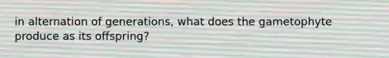in alternation of generations, what does the gametophyte produce as its offspring?