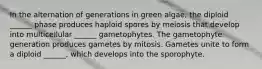 In the alternation of generations in green algae, the diploid ______ phase produces haploid spores by meiosis that develop into multicellular ______ gametophytes. The gametophyte generation produces gametes by mitosis. Gametes unite to form a diploid ______, which develops into the sporophyte.