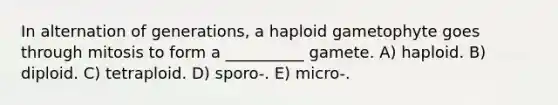 In alternation of generations, a haploid gametophyte goes through mitosis to form a __________ gamete. A) haploid. B) diploid. C) tetraploid. D) sporo-. E) micro-.