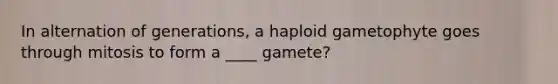 In alternation of generations, a haploid gametophyte goes through mitosis to form a ____ gamete?