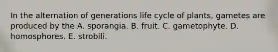 In the alternation of generations life cycle of plants, gametes are produced by the A. sporangia. B. fruit. C. gametophyte. D. homosphores. E. strobili.