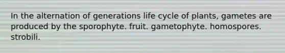 In the alternation of generations life cycle of plants, gametes are produced by the sporophyte. fruit. gametophyte. homospores. strobili.