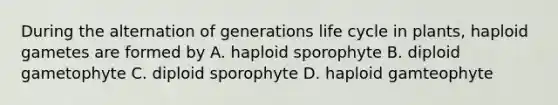 During the alternation of generations life cycle in plants, haploid gametes are formed by A. haploid sporophyte B. diploid gametophyte C. diploid sporophyte D. haploid gamteophyte