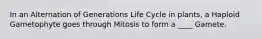 In an Alternation of Generations Life Cycle in plants, a Haploid Gametophyte goes through Mitosis to form a ____ Gamete.