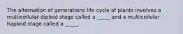 The alternation of generations life cycle of plants involves a multicellular diploid stage called a _____ and a multicellular haploid stage called a _____.