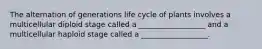 The alternation of generations life cycle of plants involves a multicellular diploid stage called a __________________ and a multicellular haploid stage called a __________________.