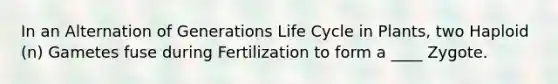 In an Alternation of Generations Life Cycle in Plants, two Haploid (n) Gametes fuse during Fertilization to form a ____ Zygote.