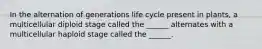 In the alternation of generations life cycle present in plants, a multicellular diploid stage called the ______ alternates with a multicellular haploid stage called the ______.