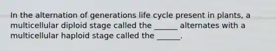 In the alternation of generations life cycle present in plants, a multicellular diploid stage called the ______ alternates with a multicellular haploid stage called the ______.