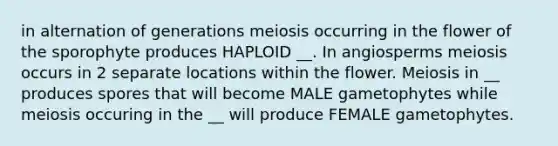 in alternation of generations meiosis occurring in the flower of the sporophyte produces HAPLOID __. In angiosperms meiosis occurs in 2 separate locations within the flower. Meiosis in __ produces spores that will become MALE gametophytes while meiosis occuring in the __ will produce FEMALE gametophytes.