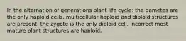 In the alternation of generations plant life cycle: the gametes are the only haploid cells. multicellular haploid and diploid structures are present. the zygote is the only diploid cell. incorrect most mature plant structures are haploid.