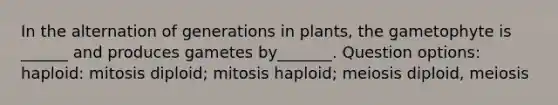 In the alternation of generations in plants, the gametophyte is ______ and produces gametes by_______. Question options: haploid: mitosis diploid; mitosis haploid; meiosis diploid, meiosis