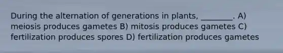 During the alternation of generations in plants, ________. A) meiosis produces gametes B) mitosis produces gametes C) fertilization produces spores D) fertilization produces gametes