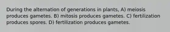 During the alternation of generations in plants, A) meiosis produces gametes. B) mitosis produces gametes. C) fertilization produces spores. D) fertilization produces gametes.