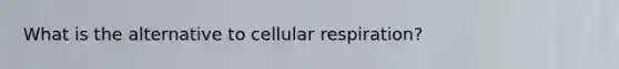 What is the alternative to cellular respiration?