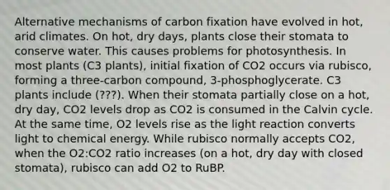 Alternative mechanisms of carbon fixation have evolved in hot, arid climates. On hot, dry days, plants close their stomata to conserve water. This causes problems for photosynthesis. In most plants (C3 plants), initial fixation of CO2 occurs via rubisco, forming a three-carbon compound, 3-phosphoglycerate. C3 plants include (???). When their stomata partially close on a hot, dry day, CO2 levels drop as CO2 is consumed in the Calvin cycle. At the same time, O2 levels rise as the light reaction converts light to chemical energy. While rubisco normally accepts CO2, when the O2:CO2 ratio increases (on a hot, dry day with closed stomata), rubisco can add O2 to RuBP.