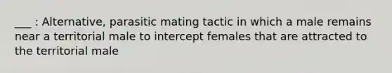 ___ : Alternative, parasitic mating tactic in which a male remains near a territorial male to intercept females that are attracted to the territorial male