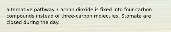 alternative pathway. Carbon dioxide is fixed into four-carbon compounds instead of three-carbon molecules. Stomata are closed during the day.