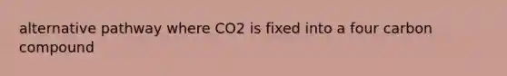 alternative pathway where CO2 is fixed into a four carbon compound