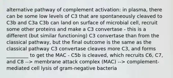 alternative pathway of complement activation: in plasma, there can be some low levels of C3 that are spontaneously cleaved to C3b and C3a C3b can land on surface of microbial cell, recruit some other proteins and make a C3 convertase - this is a different (but similar functioning) C3 convertase than from the classical pathway, but the final outcome is the same as the classical pathway C3 convertase cleaves more C3, and forms _________ to get the MAC - C5b is cleaved, which recruits C6, C7, and C8 --> membrane attack complex (MAC) --> complement-mediated cell lysis of <a href='https://www.questionai.com/knowledge/km7ACvN6hS-gram-negative-bacteria' class='anchor-knowledge'>gram-negative bacteria</a>