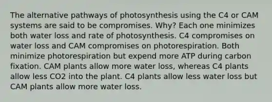 The alternative pathways of photosynthesis using the C4 or CAM systems are said to be compromises. Why? Each one minimizes both water loss and rate of photosynthesis. C4 compromises on water loss and CAM compromises on photorespiration. Both minimize photorespiration but expend more ATP during carbon fixation. CAM plants allow more water loss, whereas C4 plants allow less CO2 into the plant. C4 plants allow less water loss but CAM plants allow more water loss.