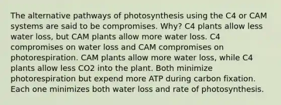 The alternative pathways of photosynthesis using the C4 or CAM systems are said to be compromises. Why? C4 plants allow less water loss, but CAM plants allow more water loss. C4 compromises on water loss and CAM compromises on photorespiration. CAM plants allow more water loss, while C4 plants allow less CO2 into the plant. Both minimize photorespiration but expend more ATP during carbon fixation. Each one minimizes both water loss and rate of photosynthesis.